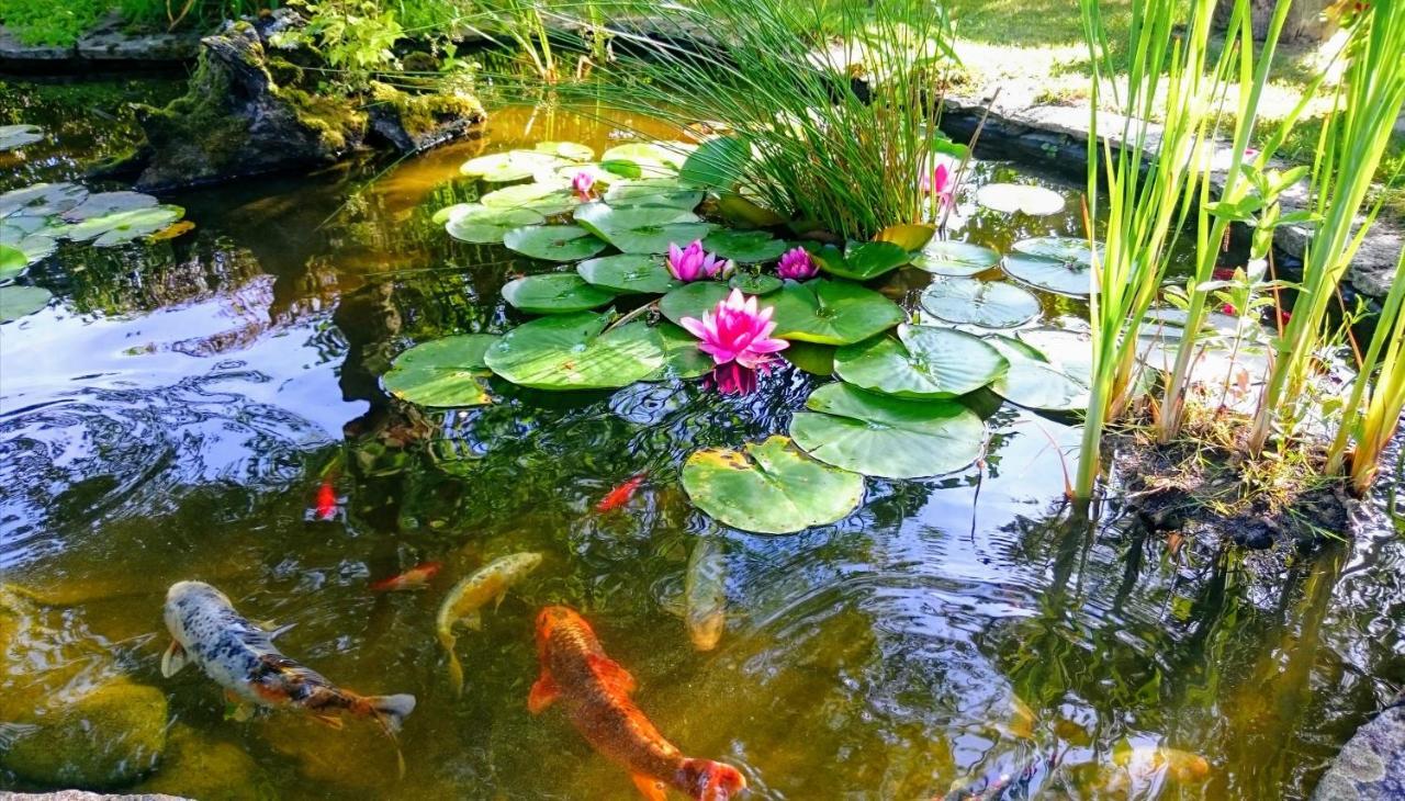 Gite Pause Au Jardin Saint-Branchs ภายนอก รูปภาพ